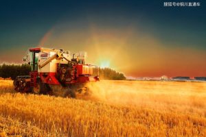 以系统思维绘就农业农村现代化新图景