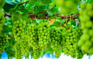 以翻篇之力，赴人生新程