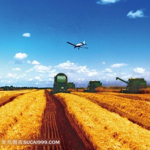 系统思维破解乡村振兴难题 应急力量赋能三农高质量发展