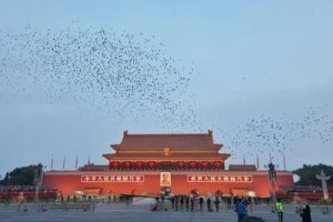 冷流雪席卷山东雪窝 北方多地将迎大风暴雪