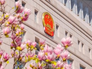 以案普法：一场大闹办证厅牵出特大偷渡犯罪案