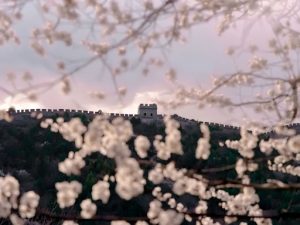 稀缺三力：信息时代的成长锚点